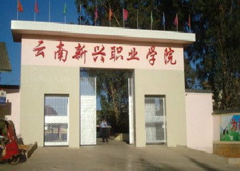 云南新兴职业学院简介