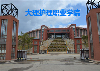 大理护理职业学院2021年成人高考(业余)招生简章